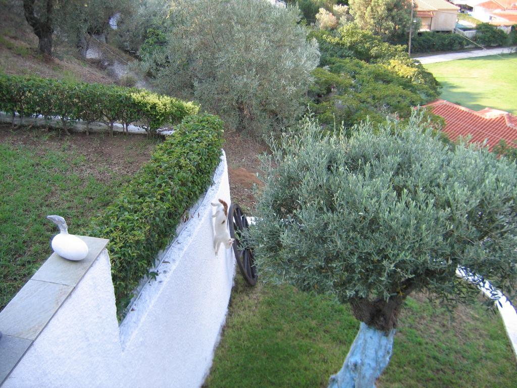 Villa Frideriki Agia Paraskevi  Rom bilde